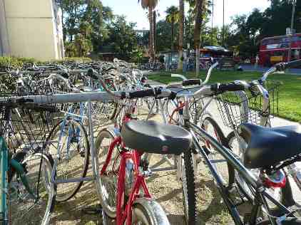 College Bicycles on College Campus