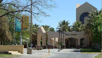 essay scholarships for nursing essay scholarships for nursing